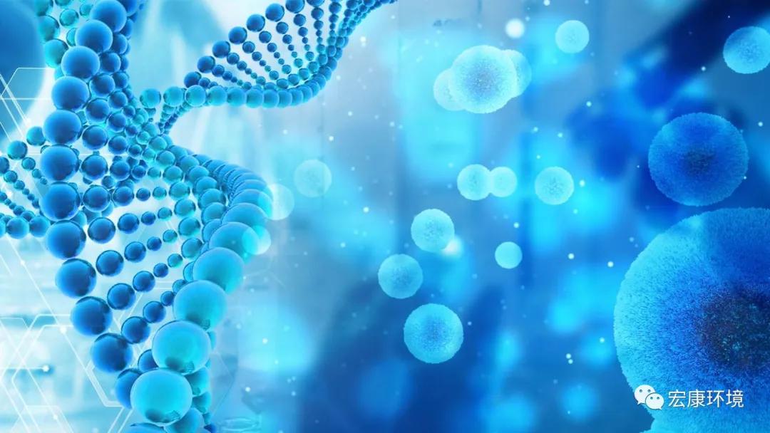 负氧离子可以长寿吗,空气好的地方是不是负氧离子就好