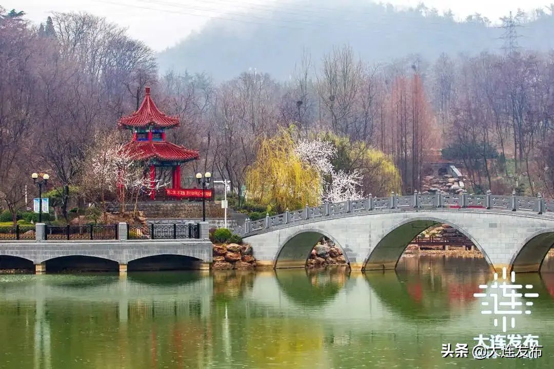 大连重点民生项目最新进展,2023年大连重点民生项目