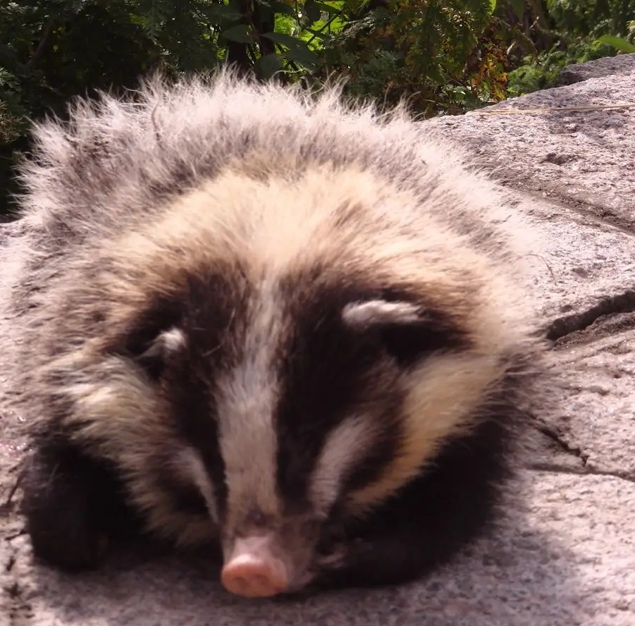 许昌的冬天有多冷,许昌的冬天会冷吗
