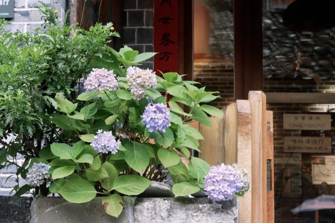 昆明到318川藏线自驾游详细攻略,南京出发318川藏线自驾游攻略