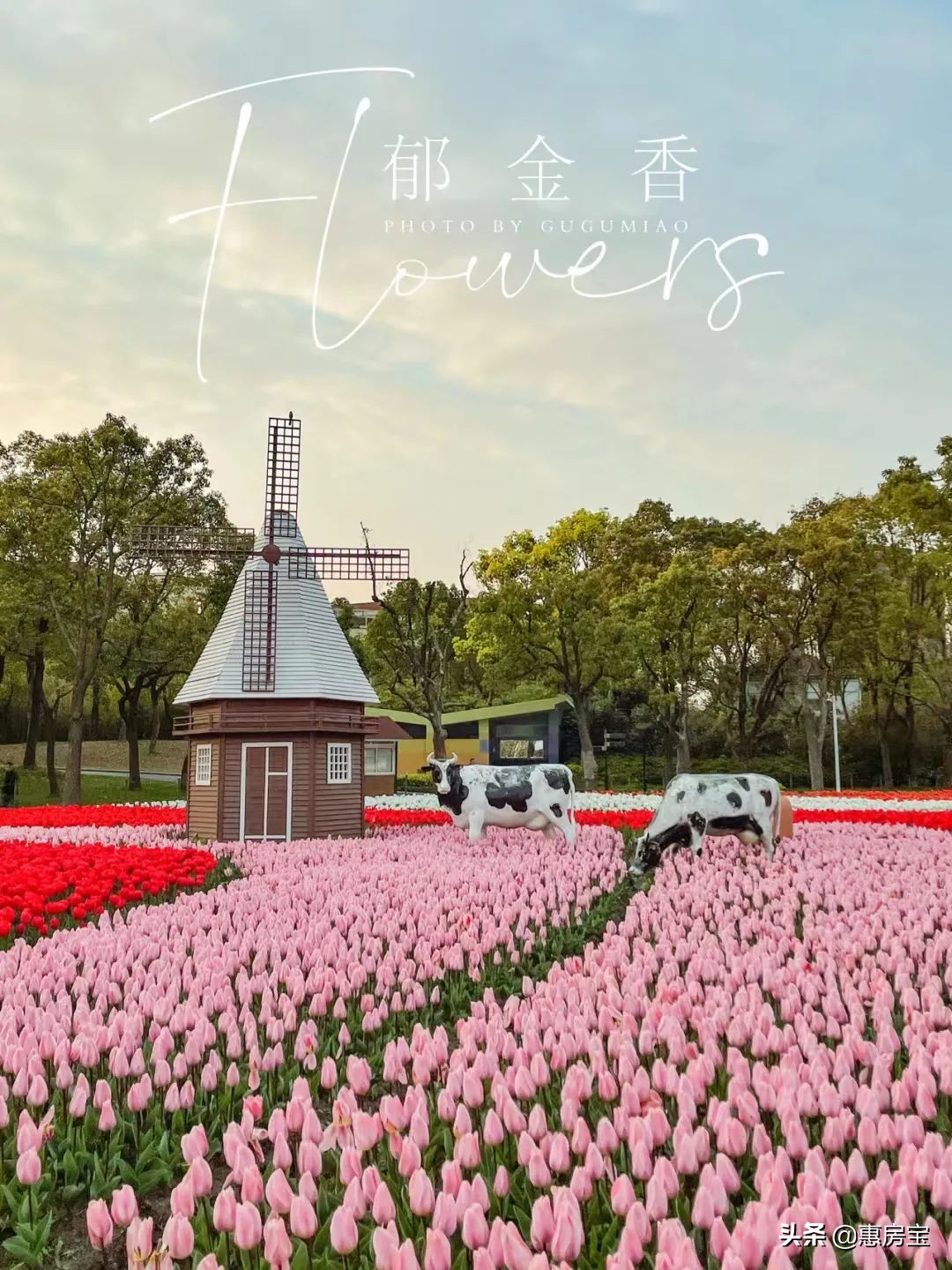 上海公园免费,上海免费公园排行