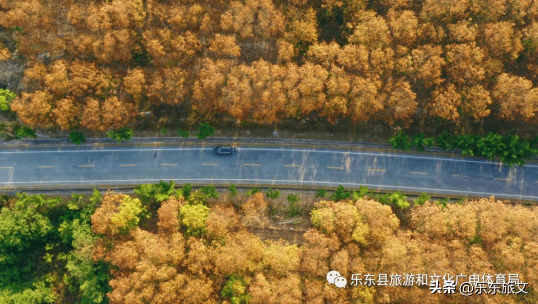 到海南乐东旅游攻略,乐东出发一日游