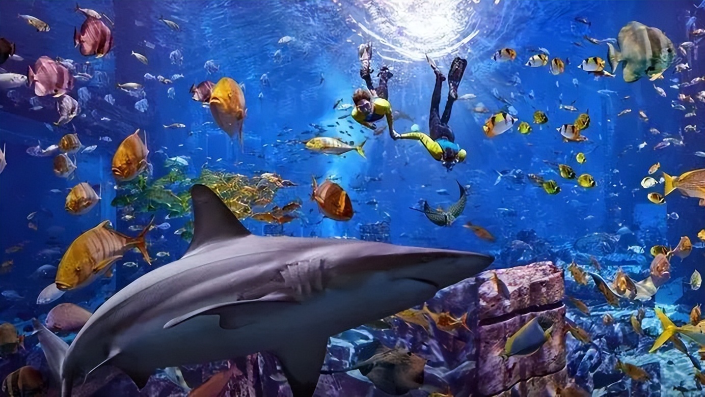 五一3-5天短途旅游推荐报团,五一3-5天短途旅游推荐一个人