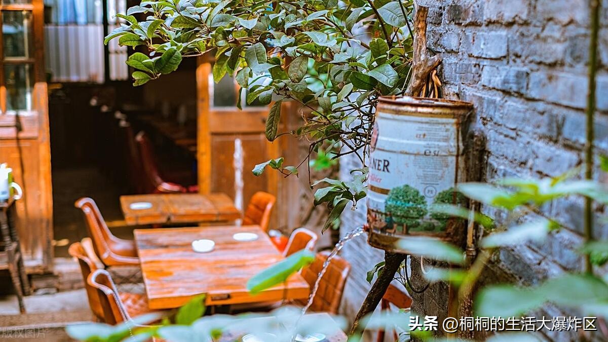 上海周边一天两夜旅游攻略,第一次上海一天游最值得去的地方