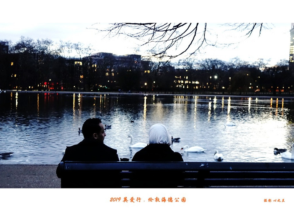 伦敦海德公园英国最大的皇家公园,浮光掠影免费阅读全文