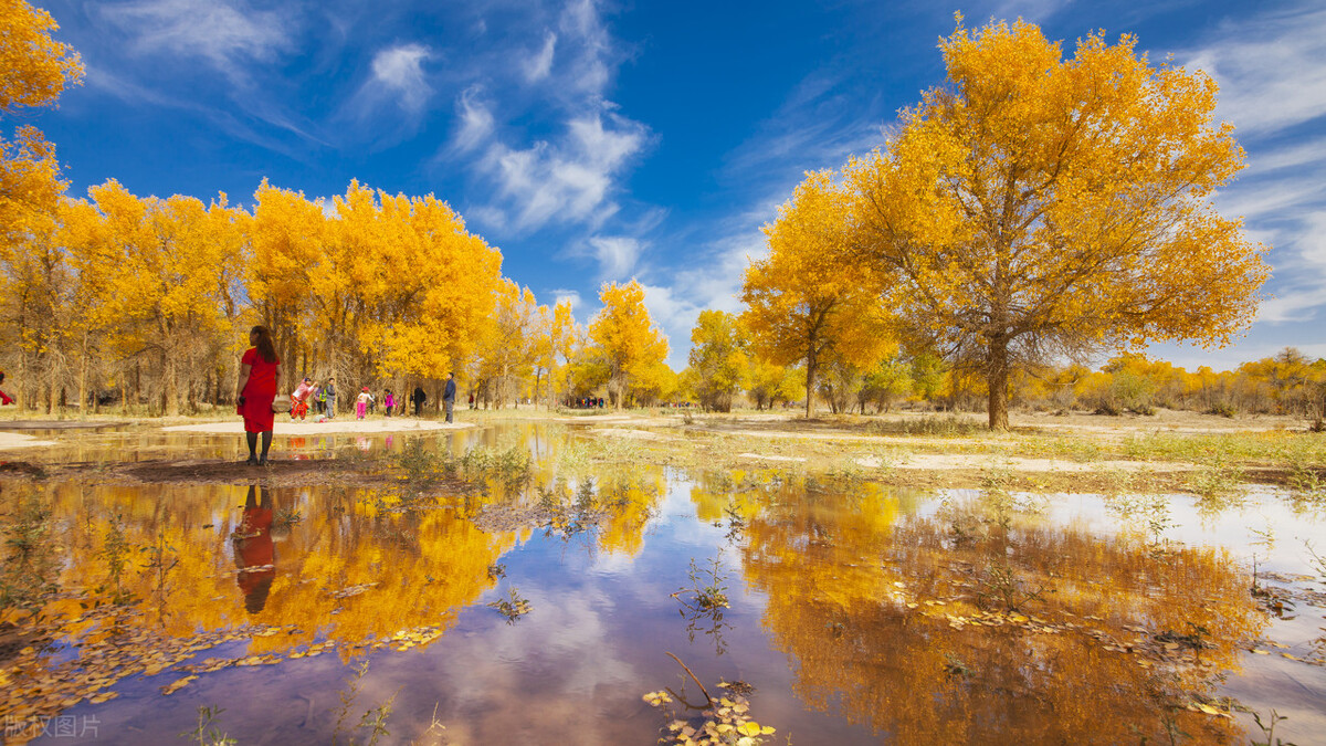 阿拉善旅游攻略必玩的景点地图,内蒙古阿拉善游玩攻略