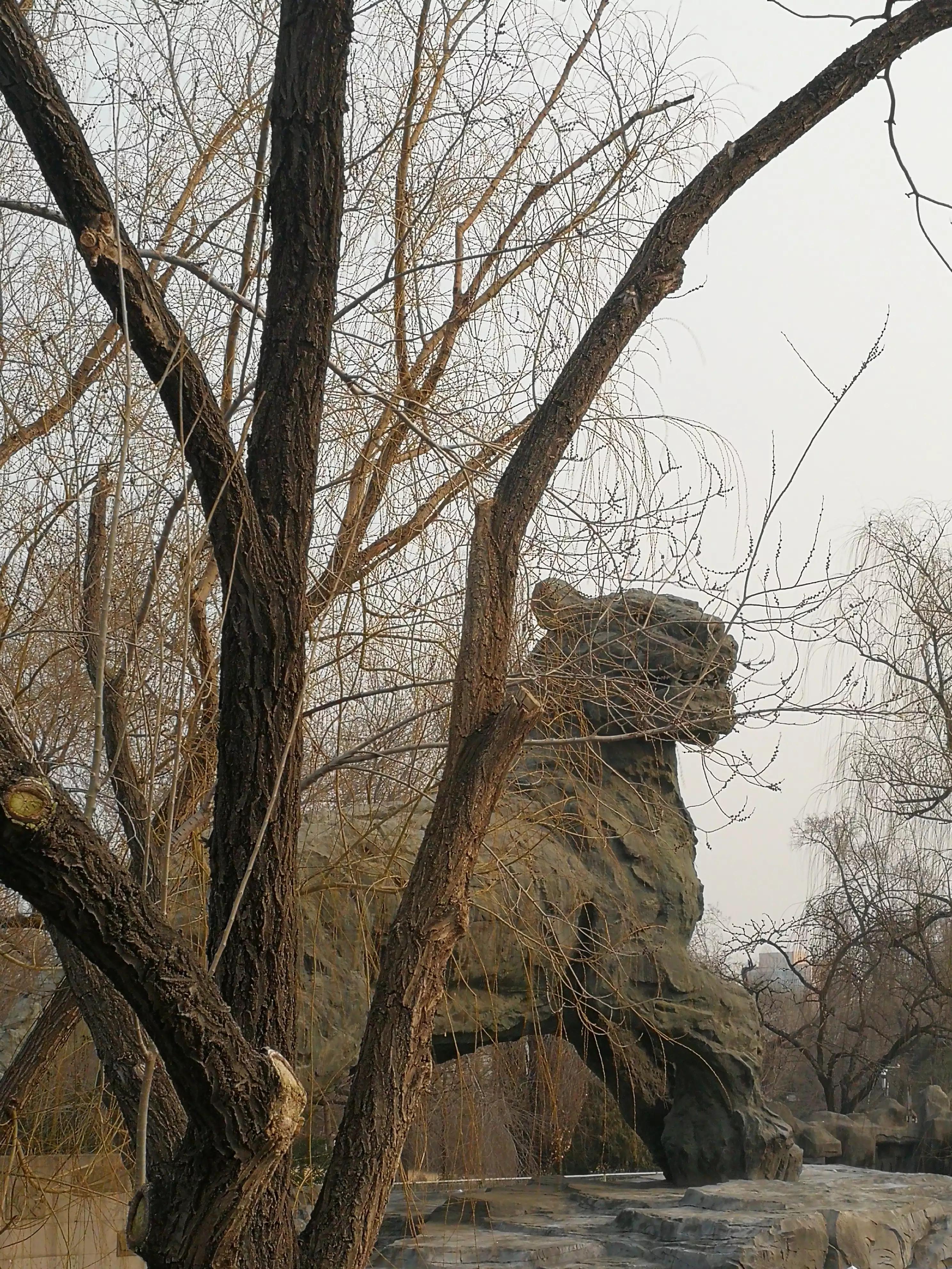 七月份的北京动物园人多吗,北京野生动物园二月动物多吗