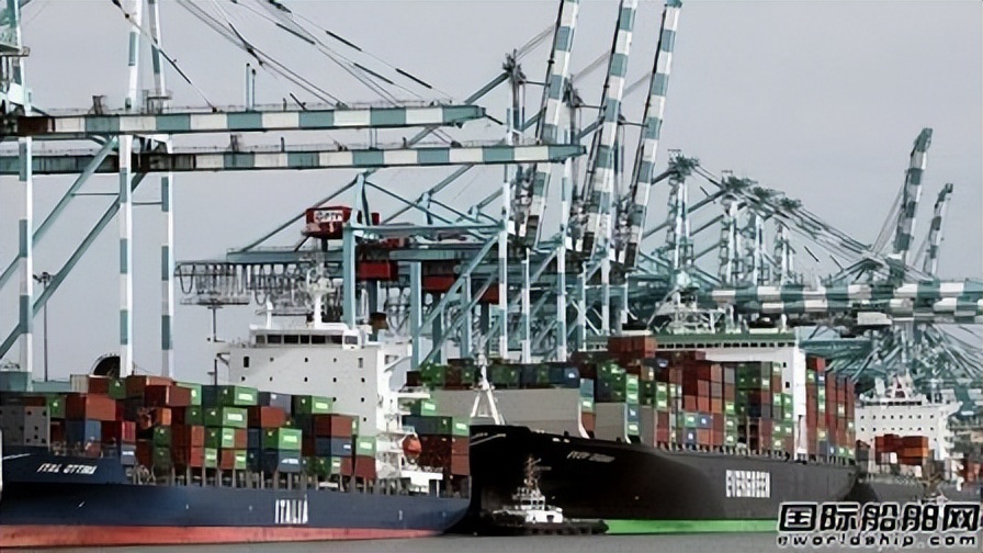 钱太多？再订36艘！手持订单逼近1000艘！集装箱航运市场麻烦来了