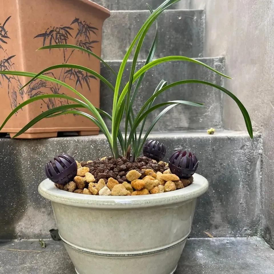 哪些药片过期后可以浇花杀菌杀虫,浇花时放这两种药片