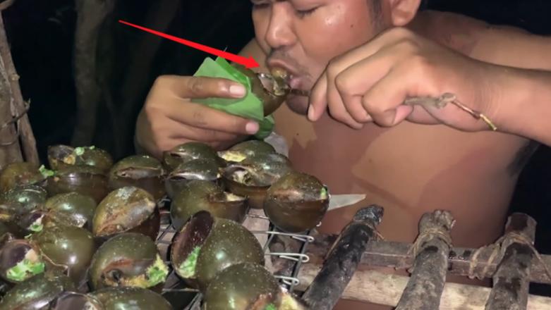 广东福寿螺泛滥成灾,广西大量福寿螺