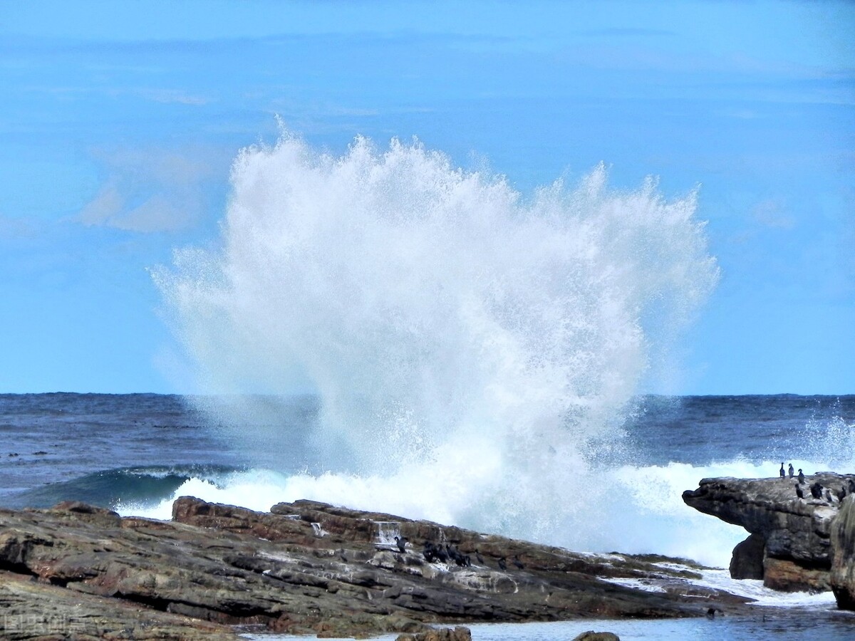 吵架总是提不上勇气怎么办,吵架总觉得自己发挥不好