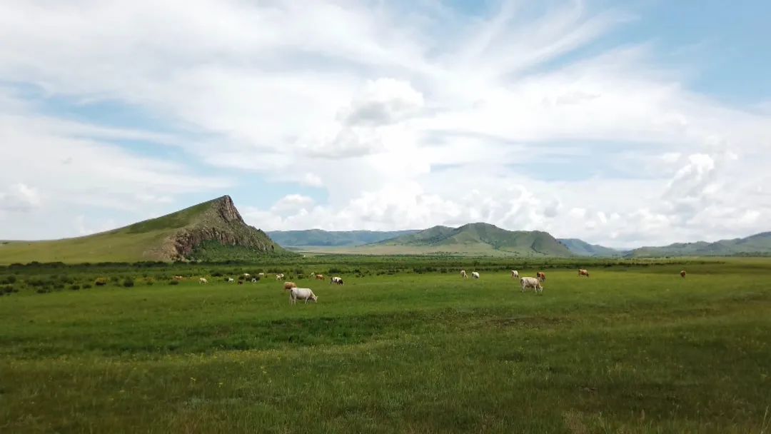 全区首笔！好生态能“变现”空气也可以抵押*款贷**