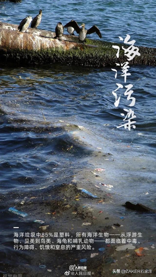 石家庄农批接驳专线,石家庄农批中心接驳专线