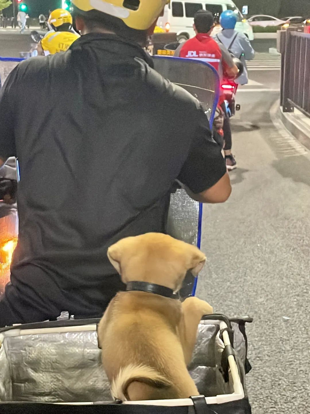 9月，谢谢你们送来的秋天