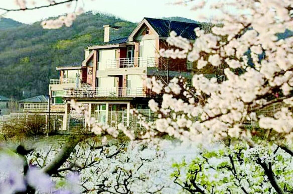 游玩花海的诗词,畅游花海的诗词