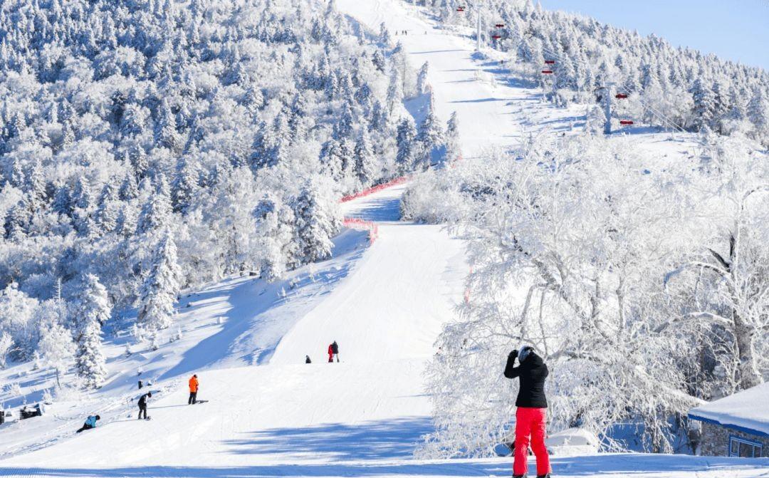 国内滑雪度假推荐,今年去哪里滑雪便宜