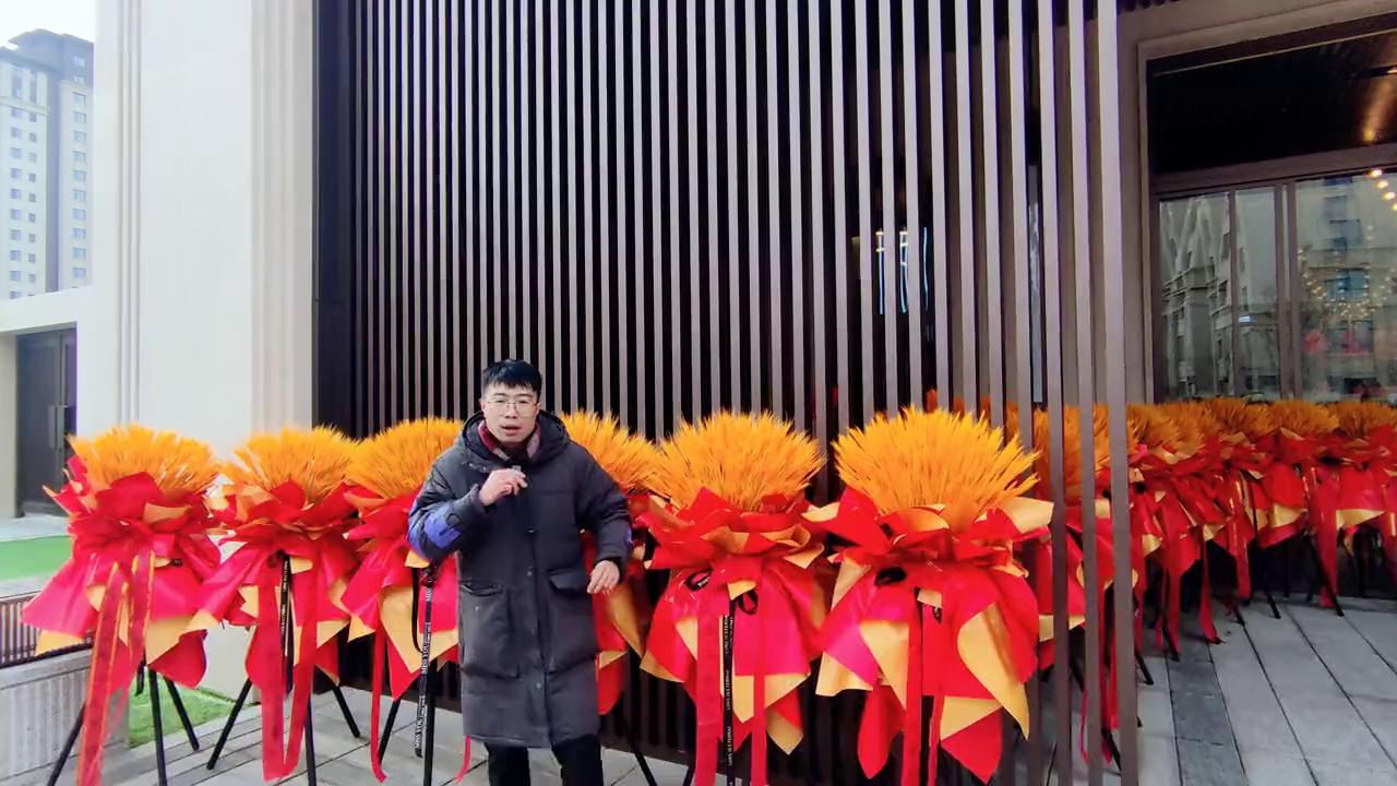 百合明珠楼盘,百合尚苑好还是和苑好