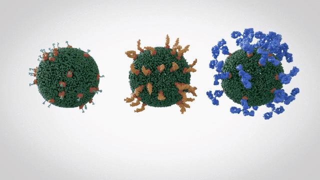 什么叫外泌体护肤,外泌体美容有什么副作用