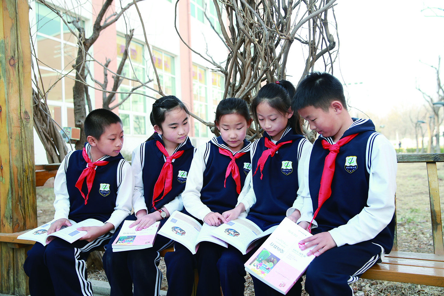北京市朝阳区教育书院实验小学,北京市朝阳区实验小学教育平台