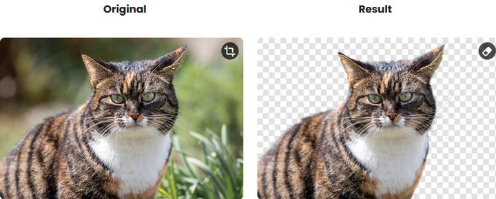 很好用的抠图软件有什么,proknockout智能抠图手动抠图