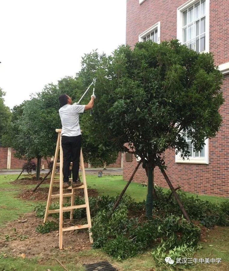 记录毕业典礼的快乐时光,学校毕业典礼上的那些事