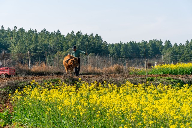 我帮同学交三年学费，他功成名就不接我电话，我拉黑后却来找我