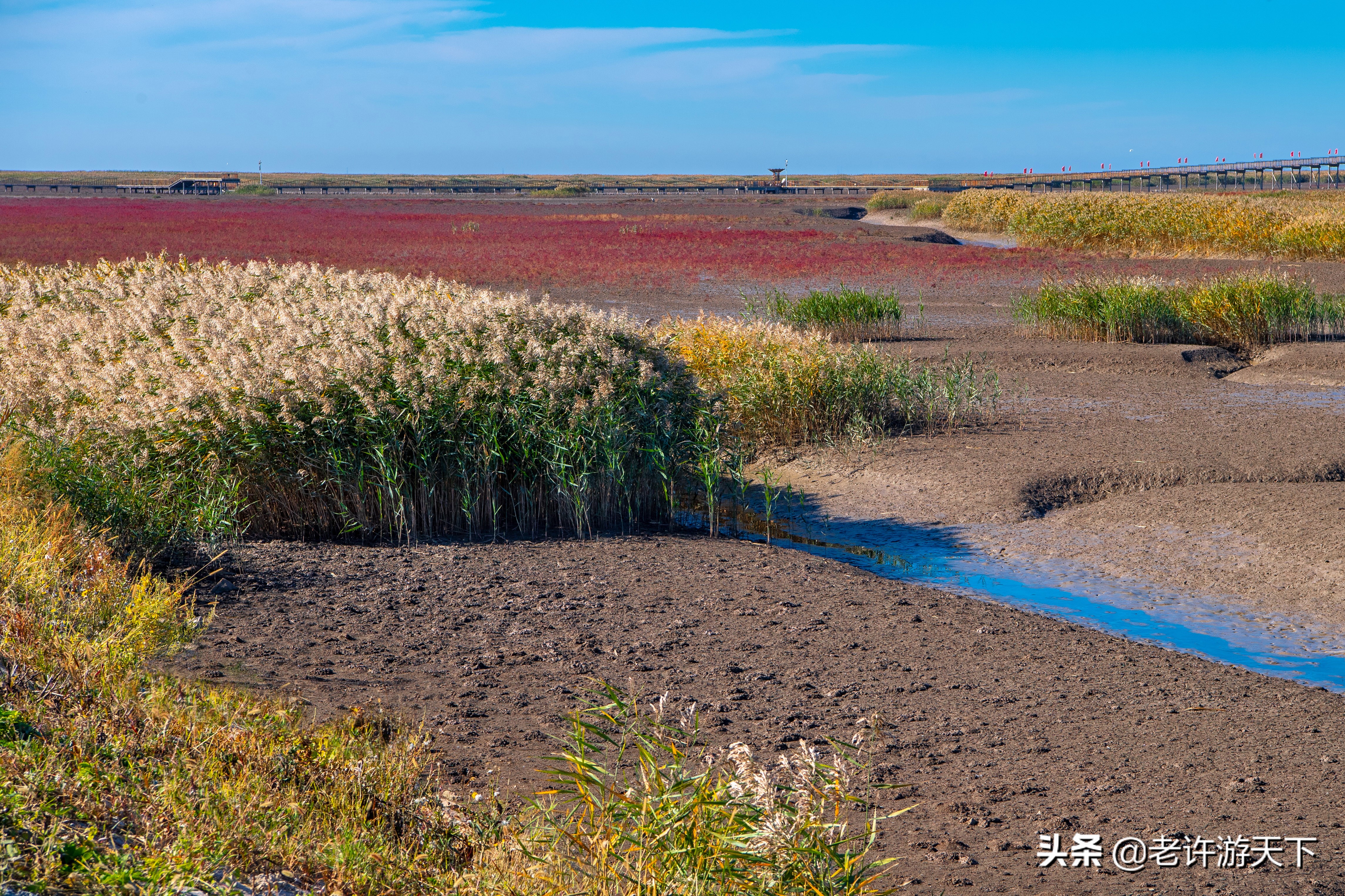 老许游记大全,老许游记第四天完整版