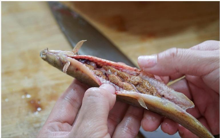 泥鳅养殖病害防治方案,养殖泥鳅易出现的病害