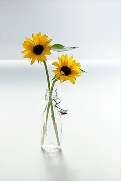 怎么知道有人看过我微信朋友圈,微信怎么知道对方看过我的朋友圈