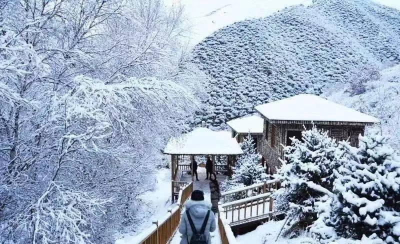 新型冰雪游内蒙古,内蒙古冰雪旅游优惠