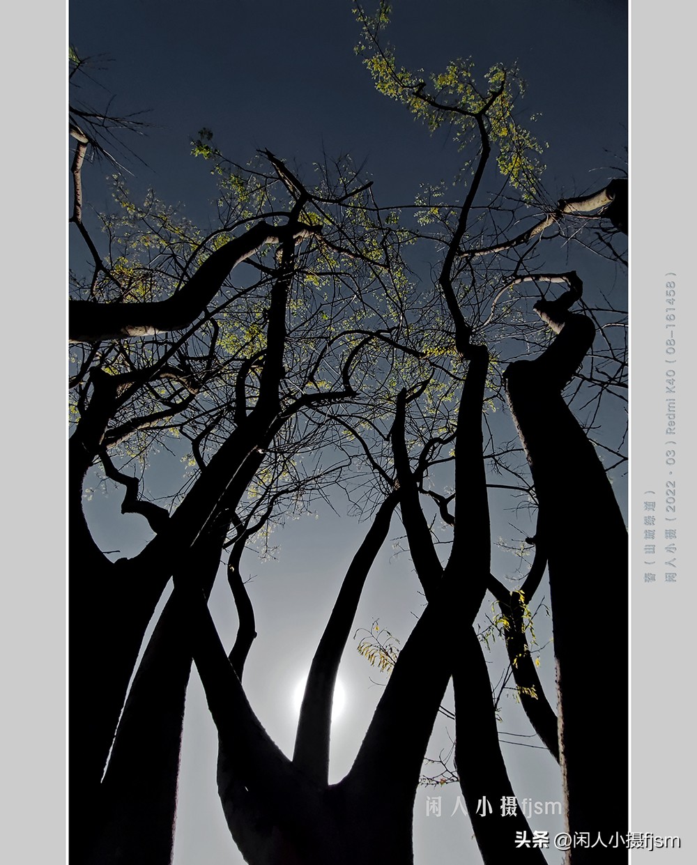 手机摄影构图技巧全解,玩转手机摄影一学就会的构图技巧