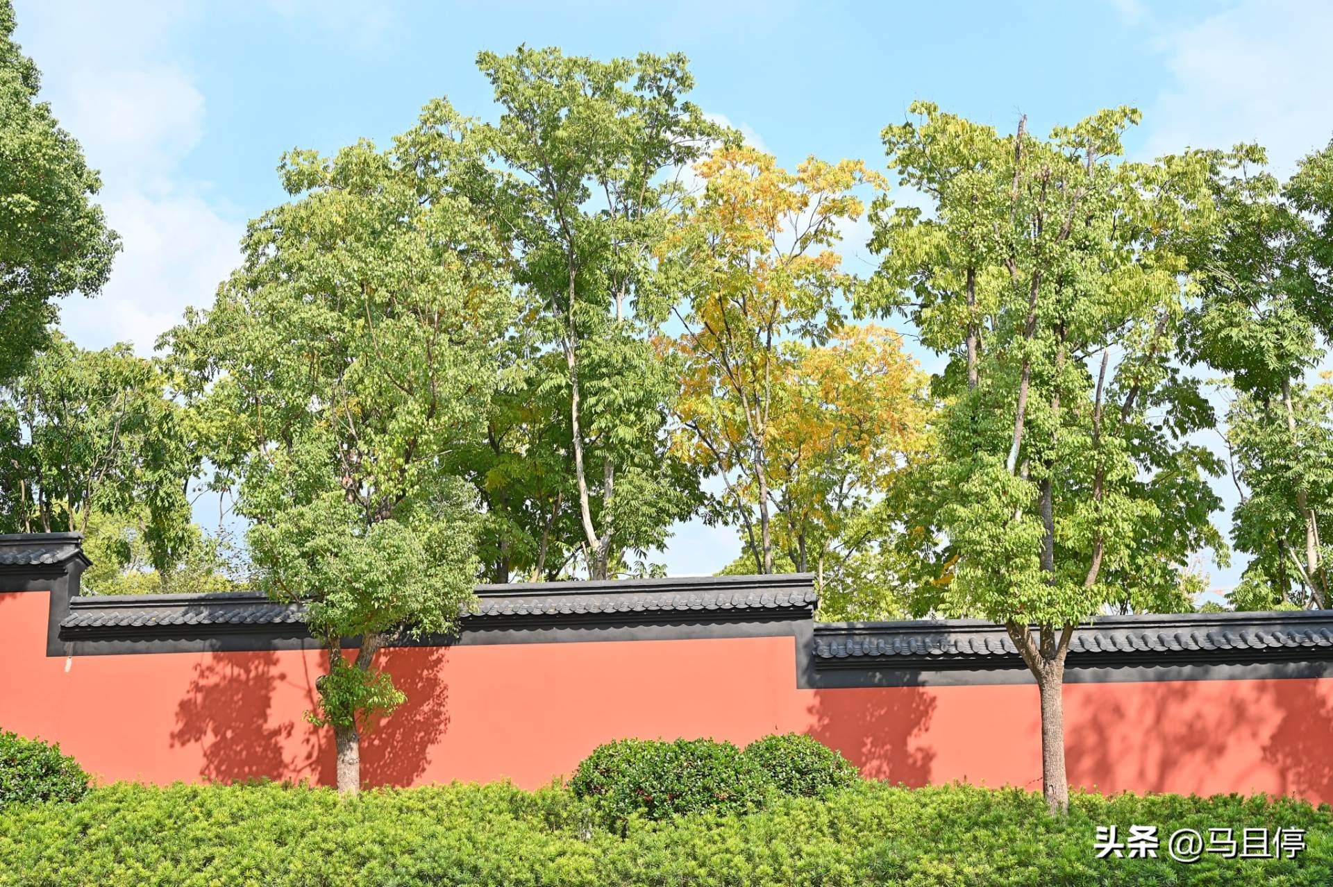 杭州旅游攻略赏秋超详细,11月杭州旅游的最佳地方