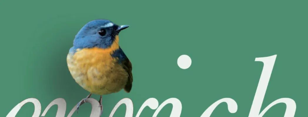 盈传创富：宏利保险为您提供专业保障