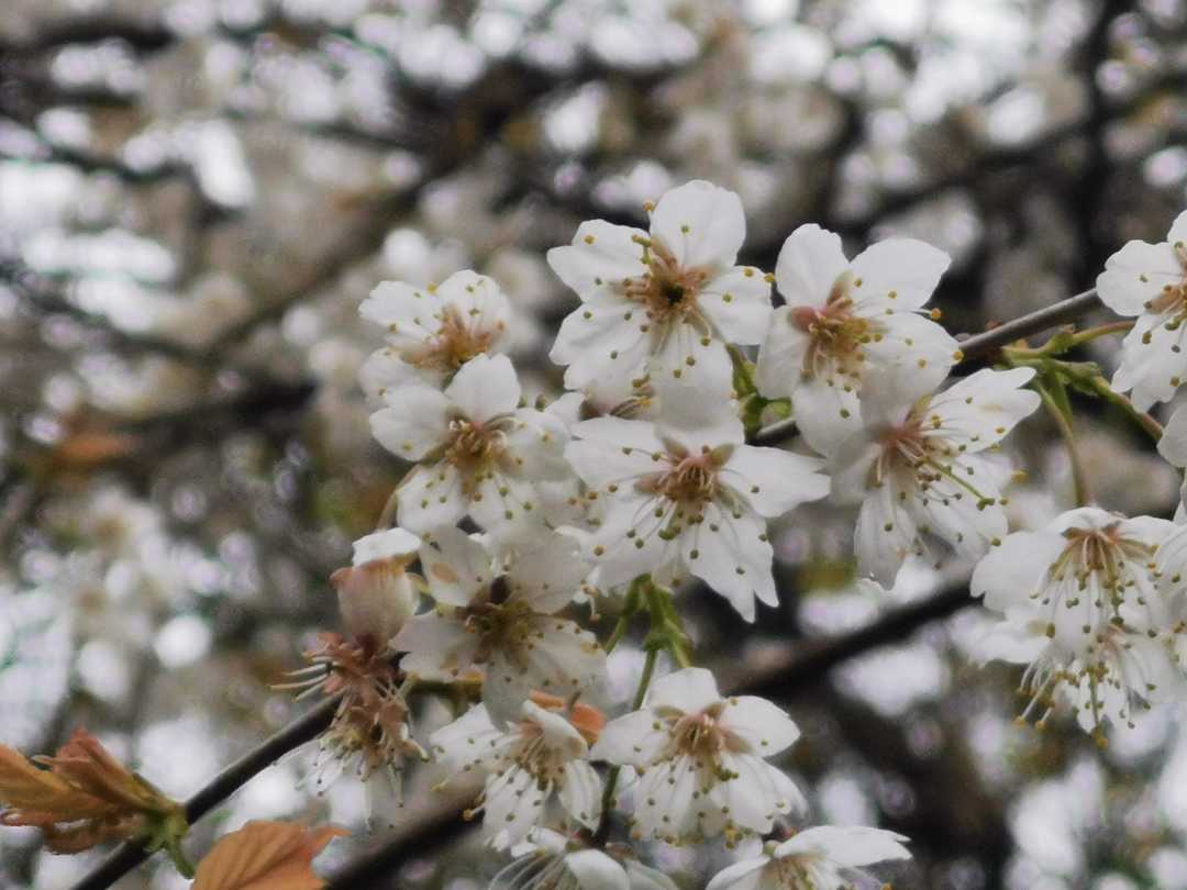 男女真的平等吗,男女未能真正的平等