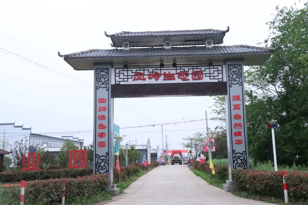 孩子们的快乐星球！周末带娃，肥西这些地方就够啦！