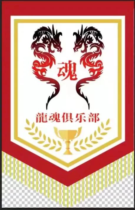 武汉塔子湖校园联赛,武汉市足球联赛塔子湖