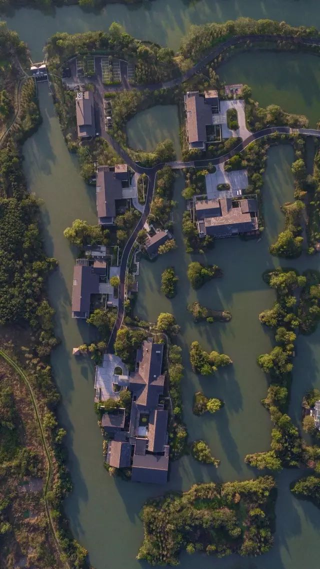 春天的潺潺溪水,春天的顶流