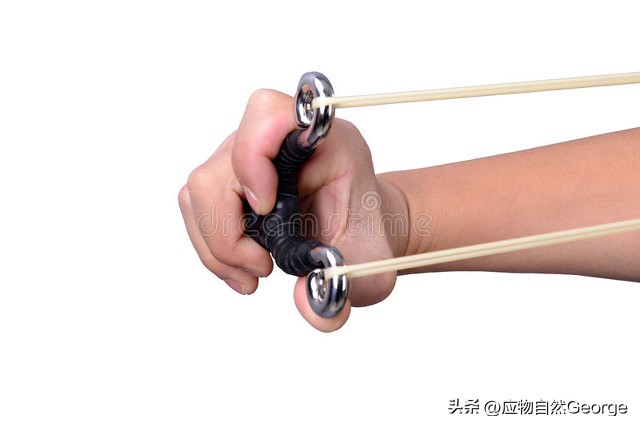 打鸟违法吗,打鸟是不是犯法了