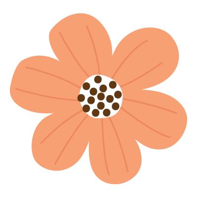 定了！免费！赶紧预约→