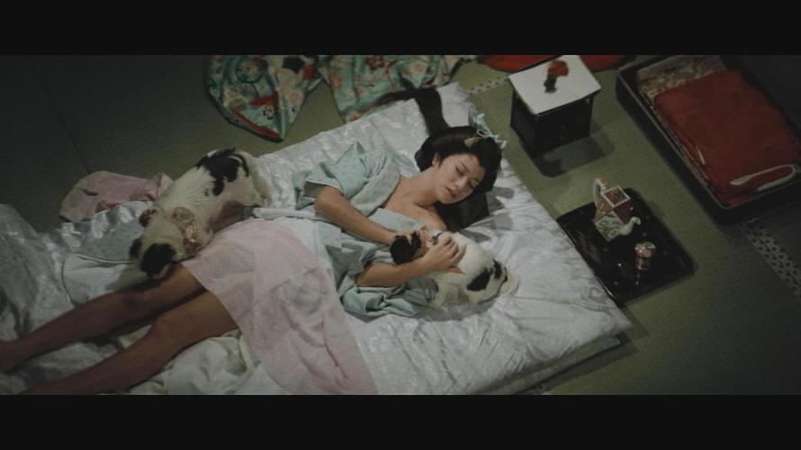 2013东莞央视暗访扫黄完整版,曝光东莞扫黄的记者