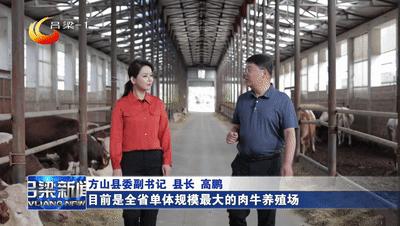 稳经济促发展强信心权威访谈福建,稳经济促消费访谈