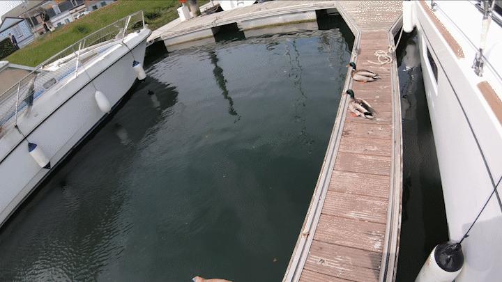 中国小伙的航海日记（十二）法国诺曼底，“蚝中之王”竟如此便宜