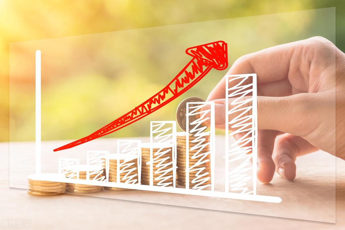 工程项目融资案例,项目融资