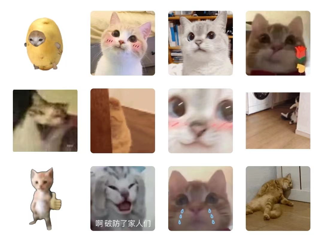 大学竞选班委攻略,竞选大学班委条件