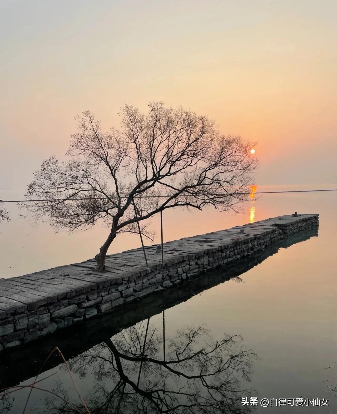 中国园林看江南江南园林看苏州,苏州园林江南园林甲天下