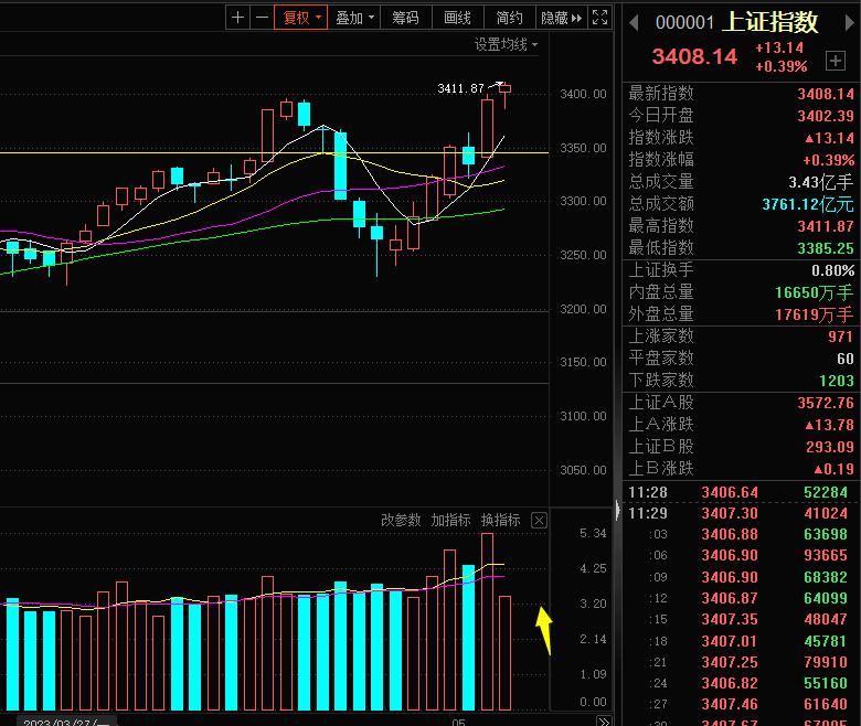 证券领涨创业板,创业板上涨千股却下跌股市怎么了