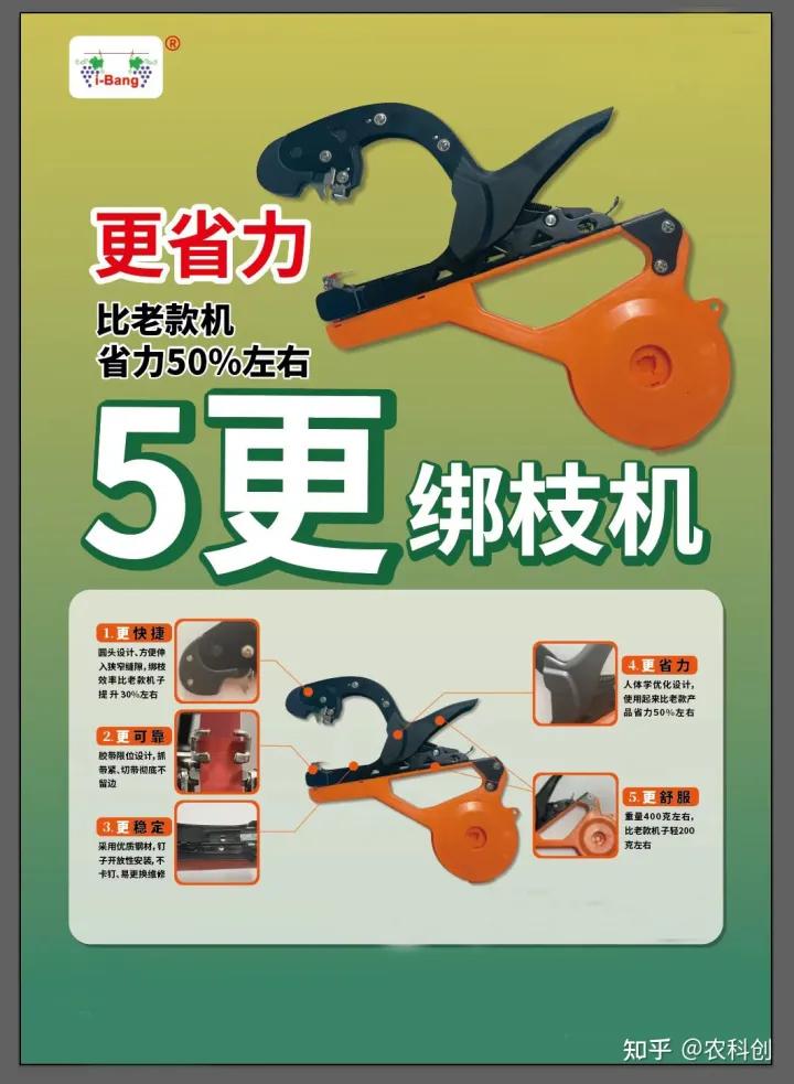 葡萄绑枝器哪个牌子好,葡萄绑枝的最佳方法