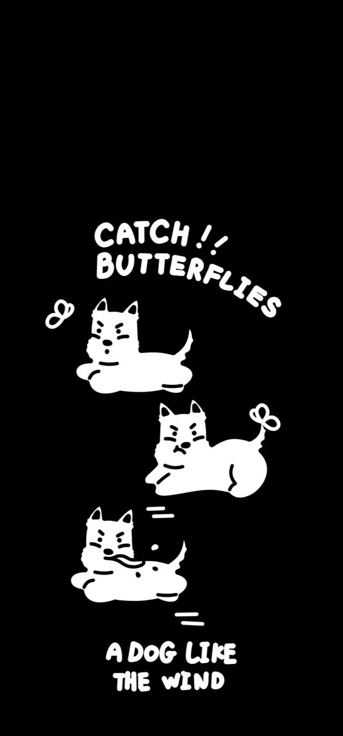 锁屏与桌面呼应的壁纸,壁纸锁屏加桌面一套