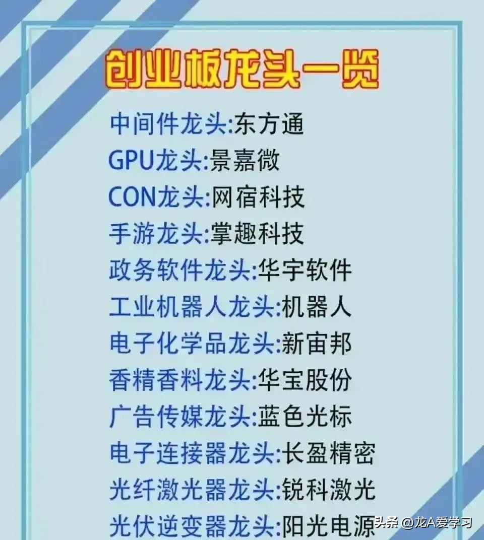 创业板块龙头排名,2023年行业龙头公司最全名单