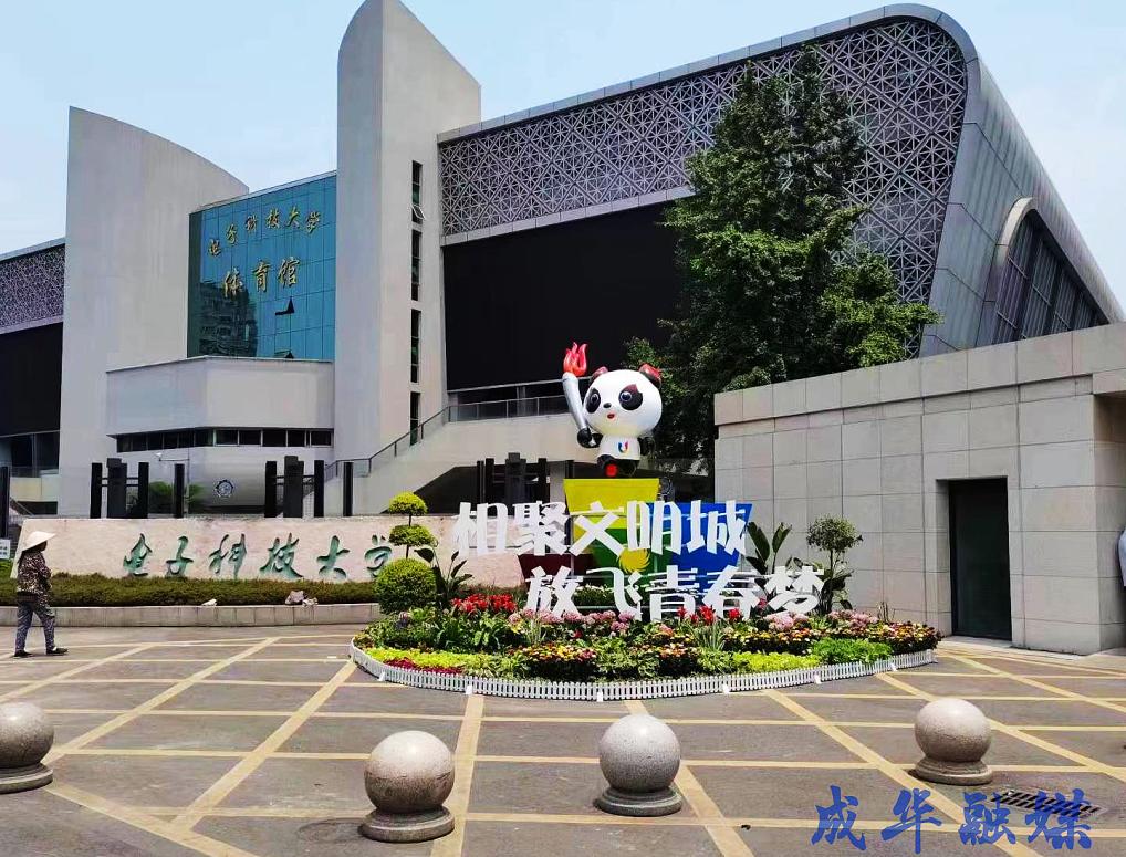 这套“运动装”，爱了！|成华融媒